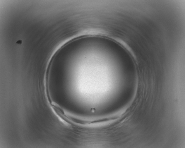 X0000054461343200508121927