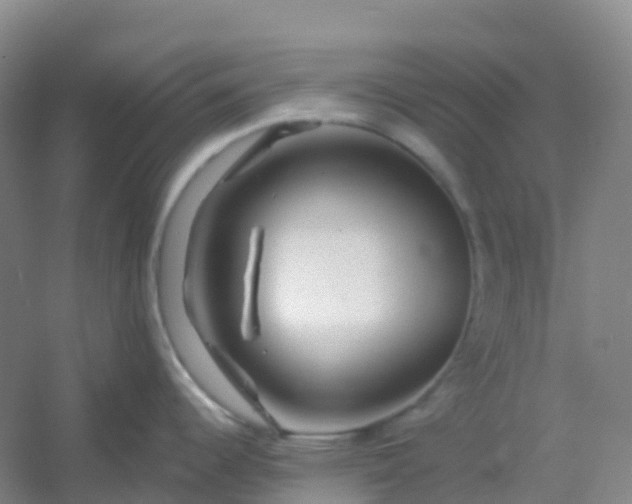 X0000054461344200508121927