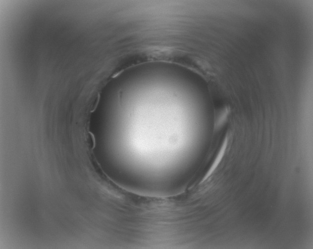 X0000054461345200508121926