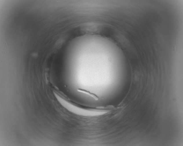 X0000054461346200508121926