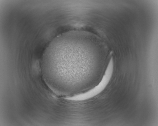 X0000054461347200508121926