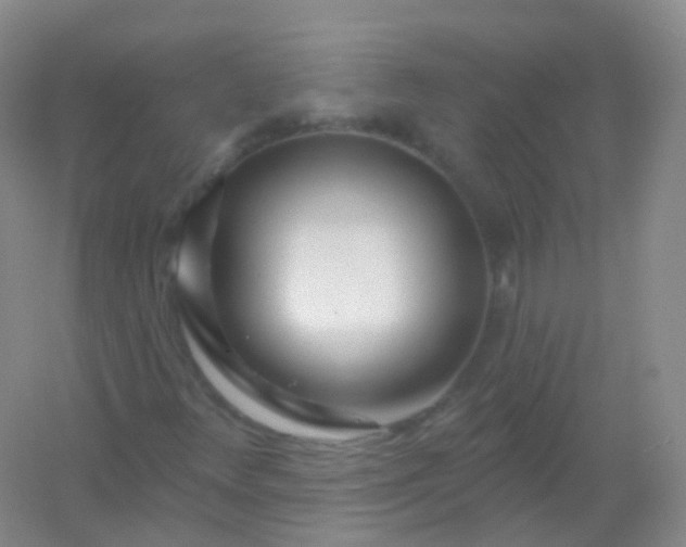 X0000054461348200508121926