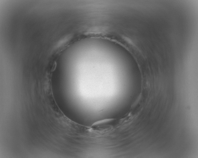 X0000054461350200508121926