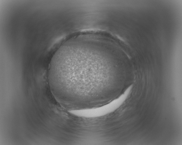 X0000054461351200508121926