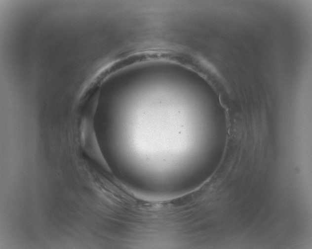 X0000054461352200508121926