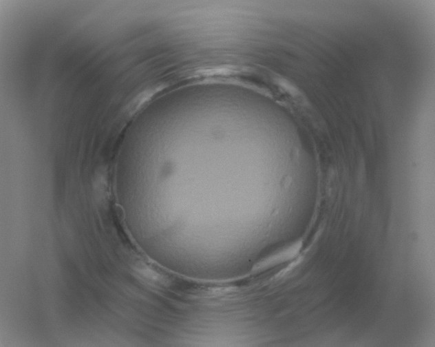 X0000054461353200508121926