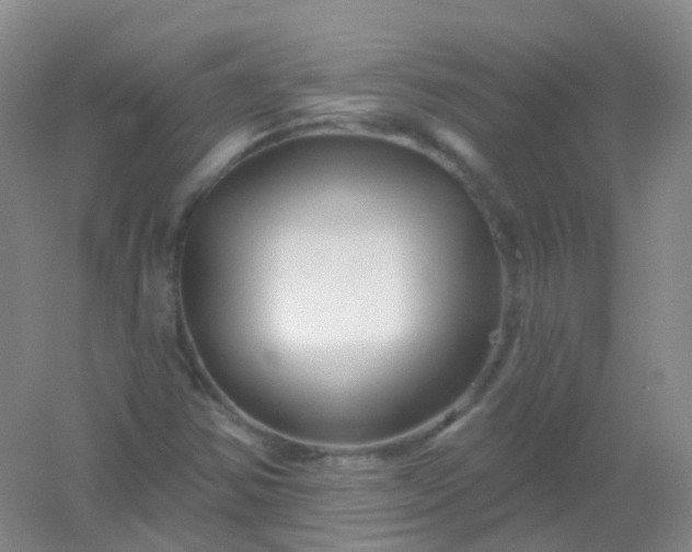 X0000054461354200508121926