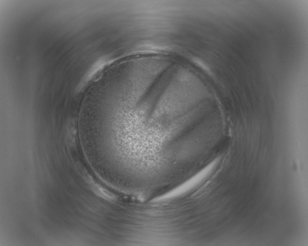 X0000054461355200508121926