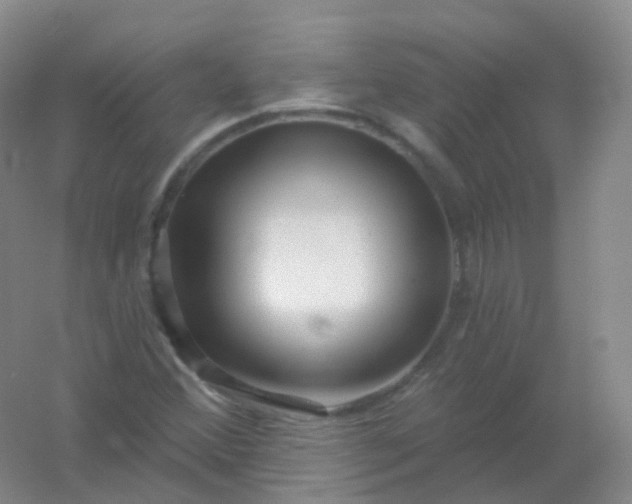 X0000054461356200508121926