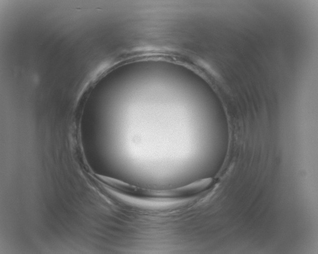 X0000054461357200508121926