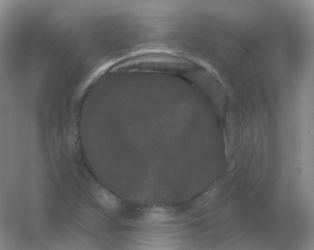 X0000054461359200508121926