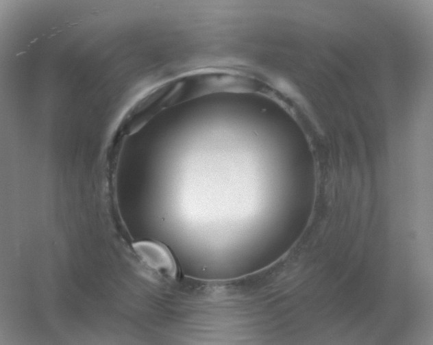 X0000054461360200508121926