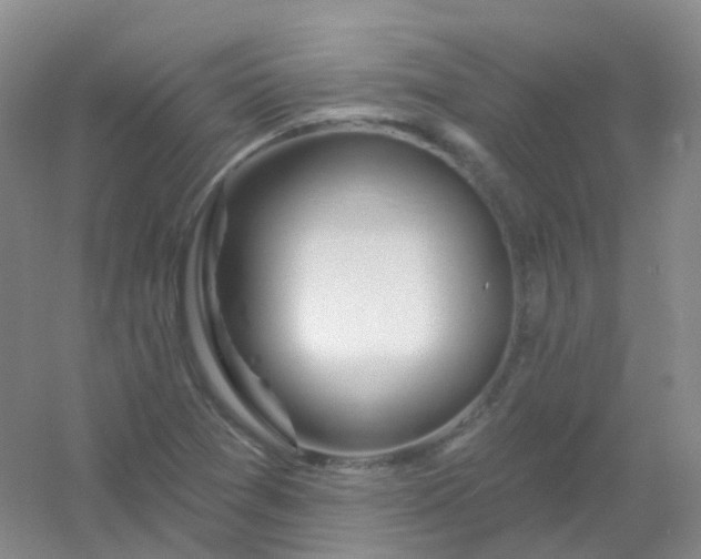 X0000054461361200508121926