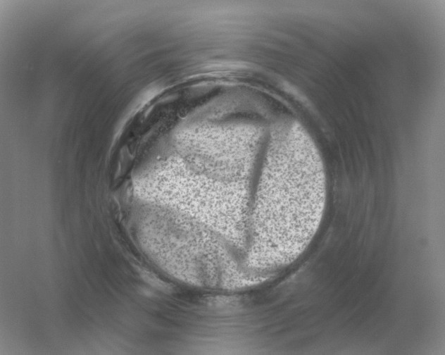 X0000054461362200508121926