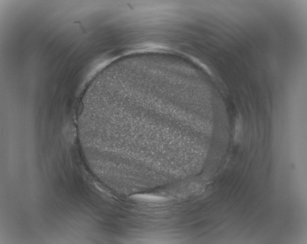 X0000054461363200508121926