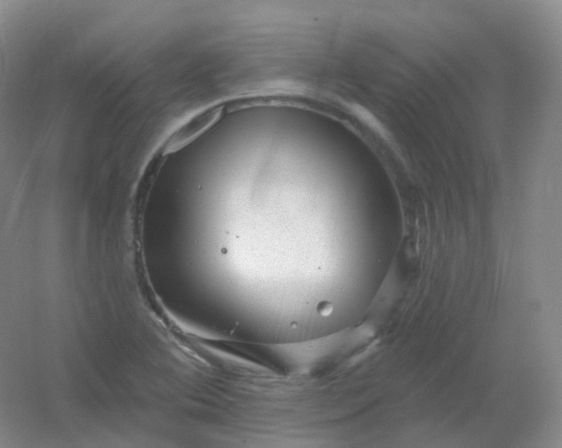 X0000054461364200508121926