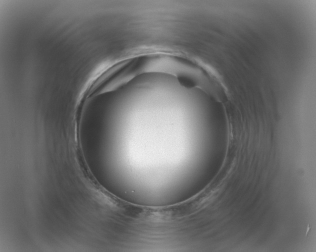 X0000054461365200508121926