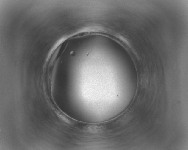 X0000054461366200508121926