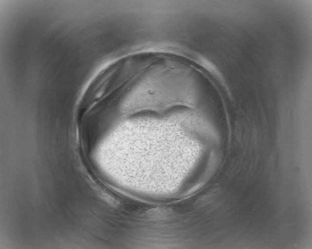 X0000054461368200508121926