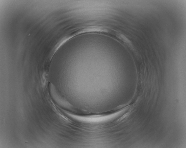 X0000054461369200508121926