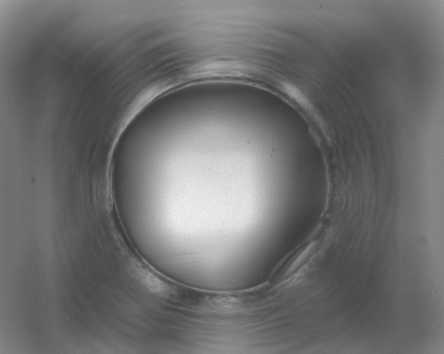 X0000054461370200508121926