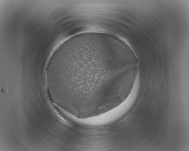 X0000054461371200508121926