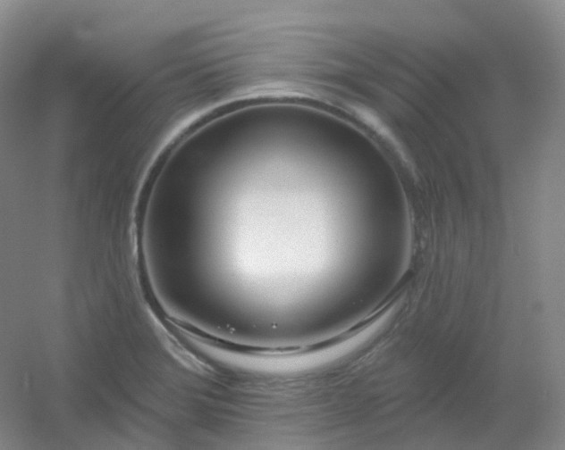 X0000054461372200508121926