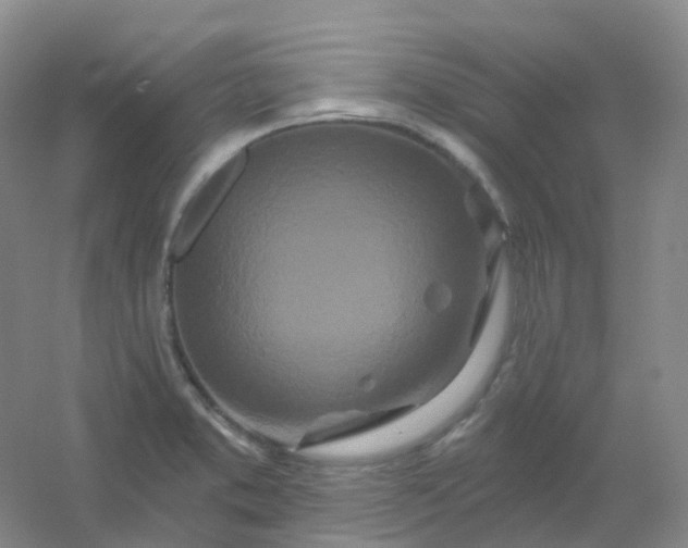 X0000054461373200508121926