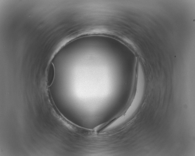 X0000054461374200508121926