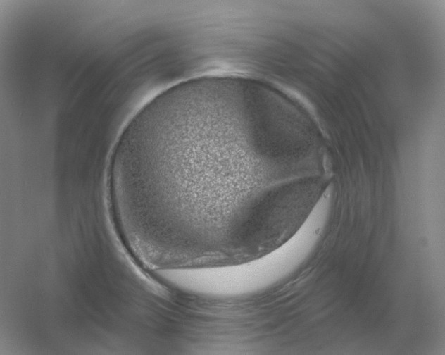 X0000054461375200508121926