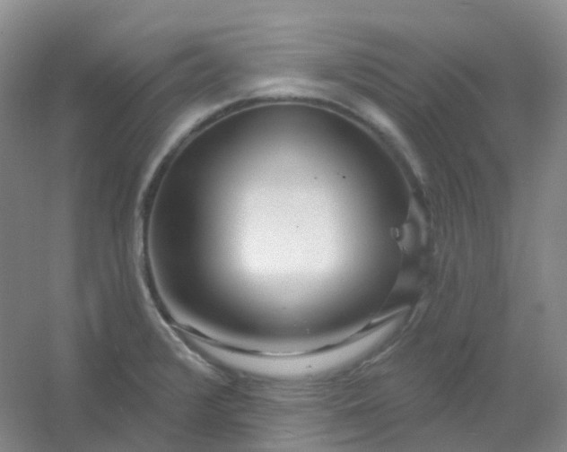 X0000054461376200508121926