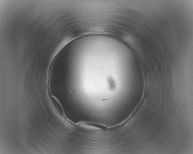 X0000054461378200508121926