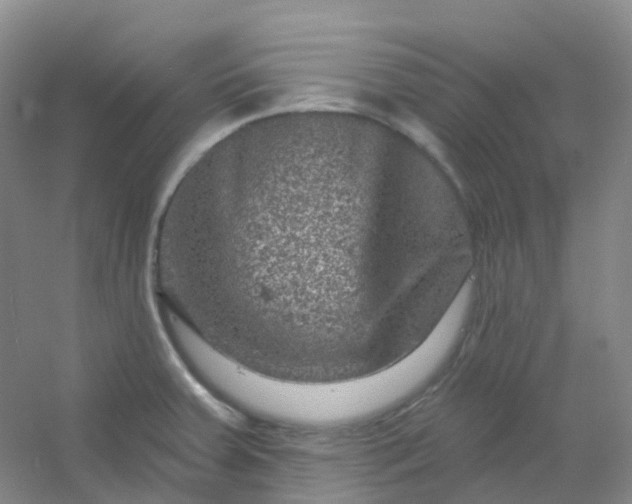 X0000054461379200508121926