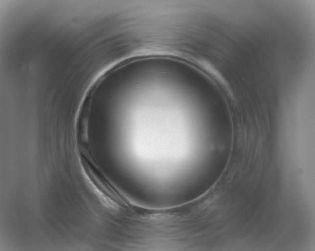 X0000054461380200508121926