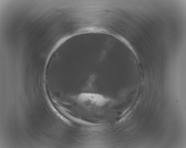 X0000054461381200508121926