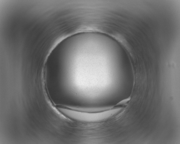 X0000054461382200508121926