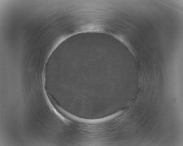 X0000054461383200508121926