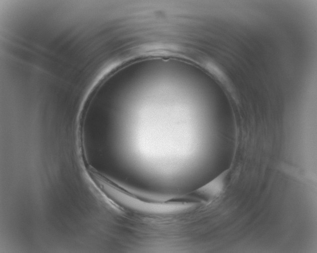 X0000054461384200508121926