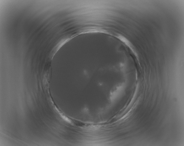 X0000054461385200508121926