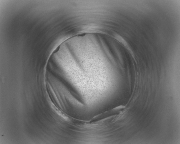 X0000054461386200508121926