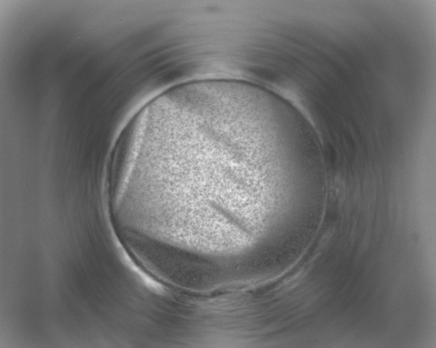 X0000054461387200508121926