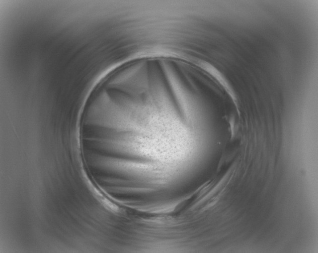 X0000054461388200508121926