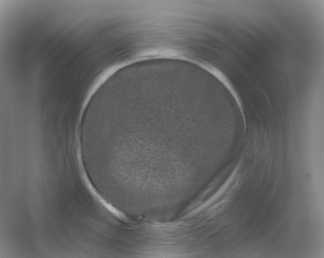 X0000054461389200508121926