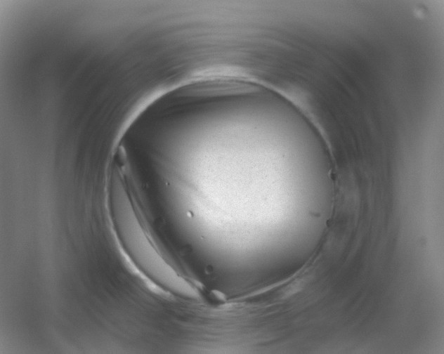 X0000054461390200508121926