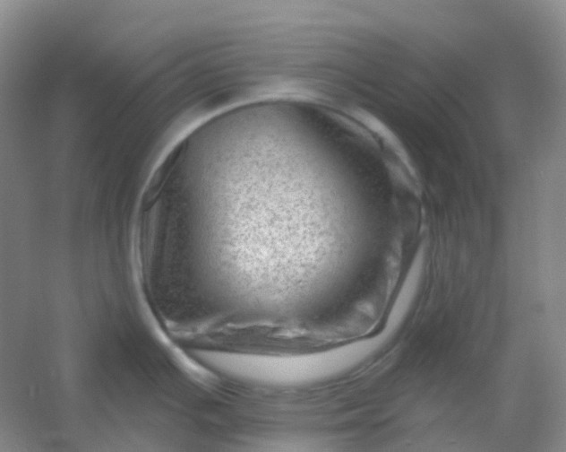 X0000054461391200508121926