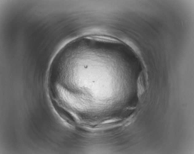 X0000054461392200508121926