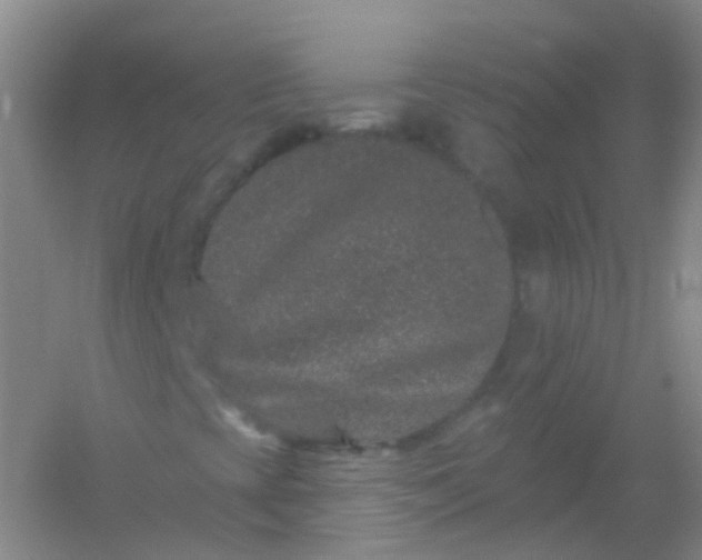 X0000054461393200508121925