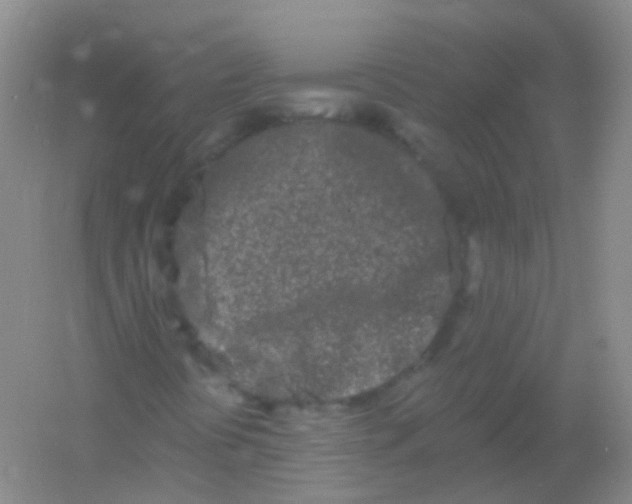 X0000054461394200508121925