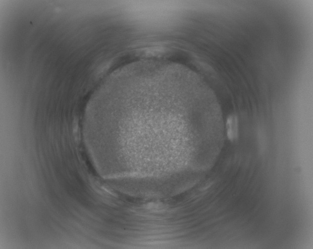 X0000054461395200508121925