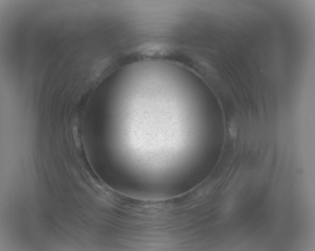 X0000054461396200508121925